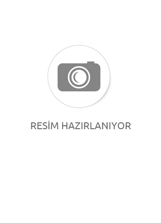TRITON OSİLASYONLU BANT VE  MİLLİ ZIMPARA MAKİNESİ